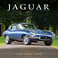 Avonside Calendrier Jaguar 2025