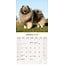 Calendario Keeshond 2025