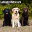 Labrador Retriever Mixed Calendar 2025