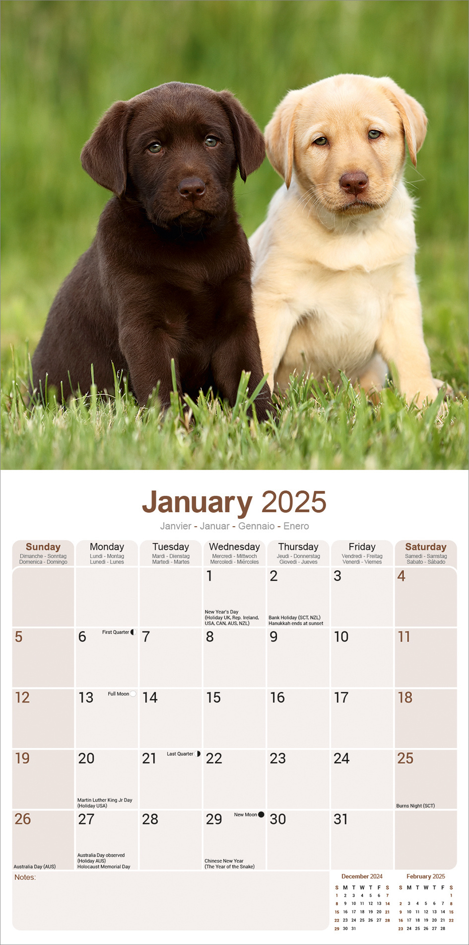 Buy Labrador Retriever Calendar 2025 Order easily online