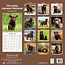 Labrador Retriever Brown Calendar 2025