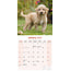 Calendario Labradoodle 2025