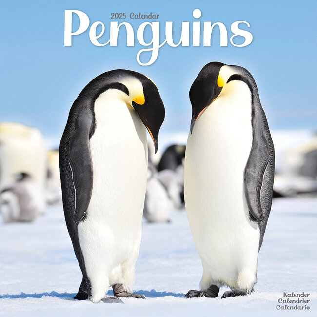 Penguin Calendar 2025
