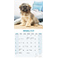 Calendario Lhasa Apso 2025