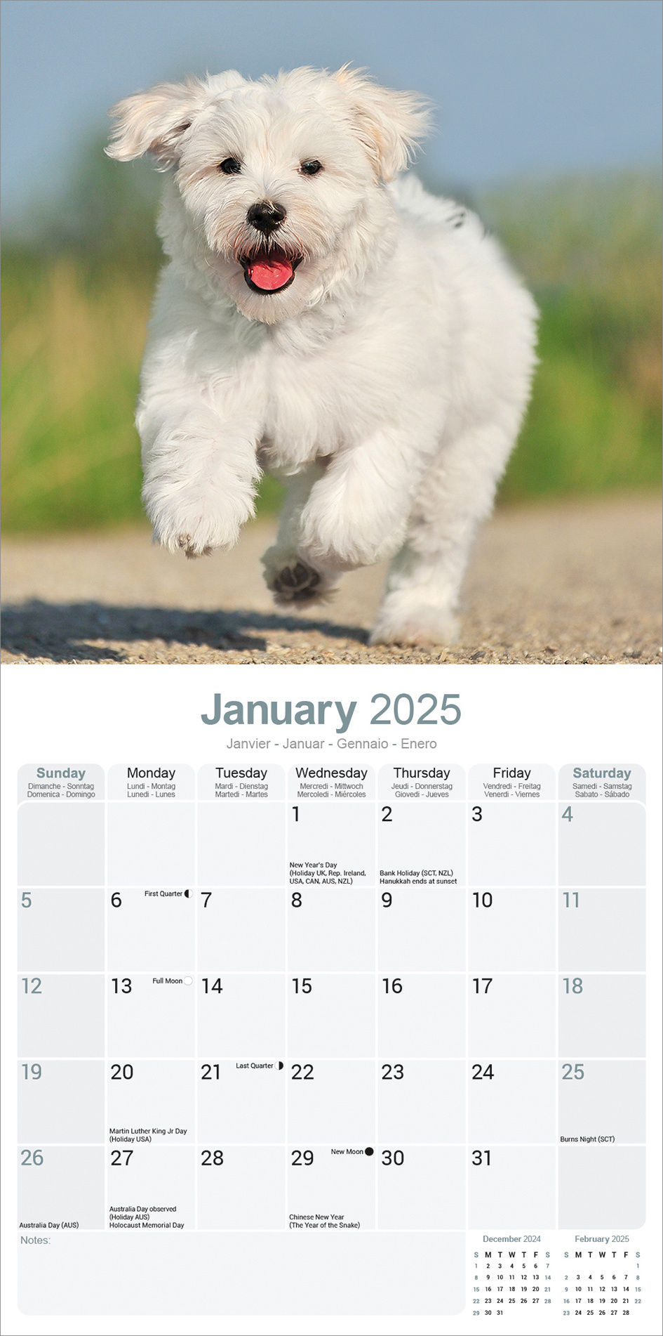 Maltese Calendar 2025 Buy Order easily online