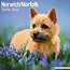 Avonside Norwich en Norfolk Terrier Kalender 2025