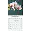 Orchid Calendar 2025