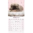 Pekinese Kalender 2025