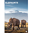 CalendarsRUs Eléphants Calendrier A3 2025