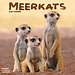 Avonside Meerkats Calendar 2025