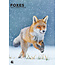 CalendarsRUs Calendrier A3 Foxes 2025