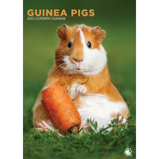 CalendarsRUs Guinea pig A3 Calendar 2025