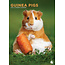 CalendarsRUs Cavia A3 Kalender 2025