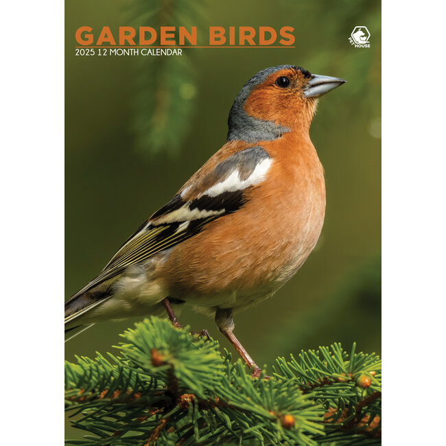 CalendarsRUs Oiseaux de jardin Calendrier A3 2025