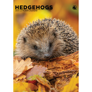 CalendarsRUs Hedgehogs A3 Calendar 2025