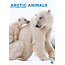 Arctic Animals A3 Calendar 2025