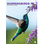 CalendarsRUs Hummingbirds A3 Calendar 2025