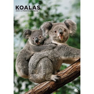 CalendarsRUs Calendario A3 Koala 2025
