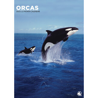 CalendarsRUs Calendario Orcas A3 2025