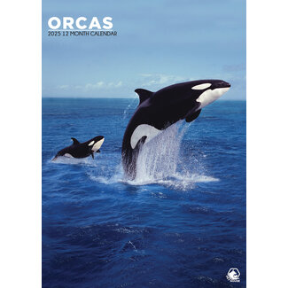 CalendarsRUs Orcas A3 Kalender 2025