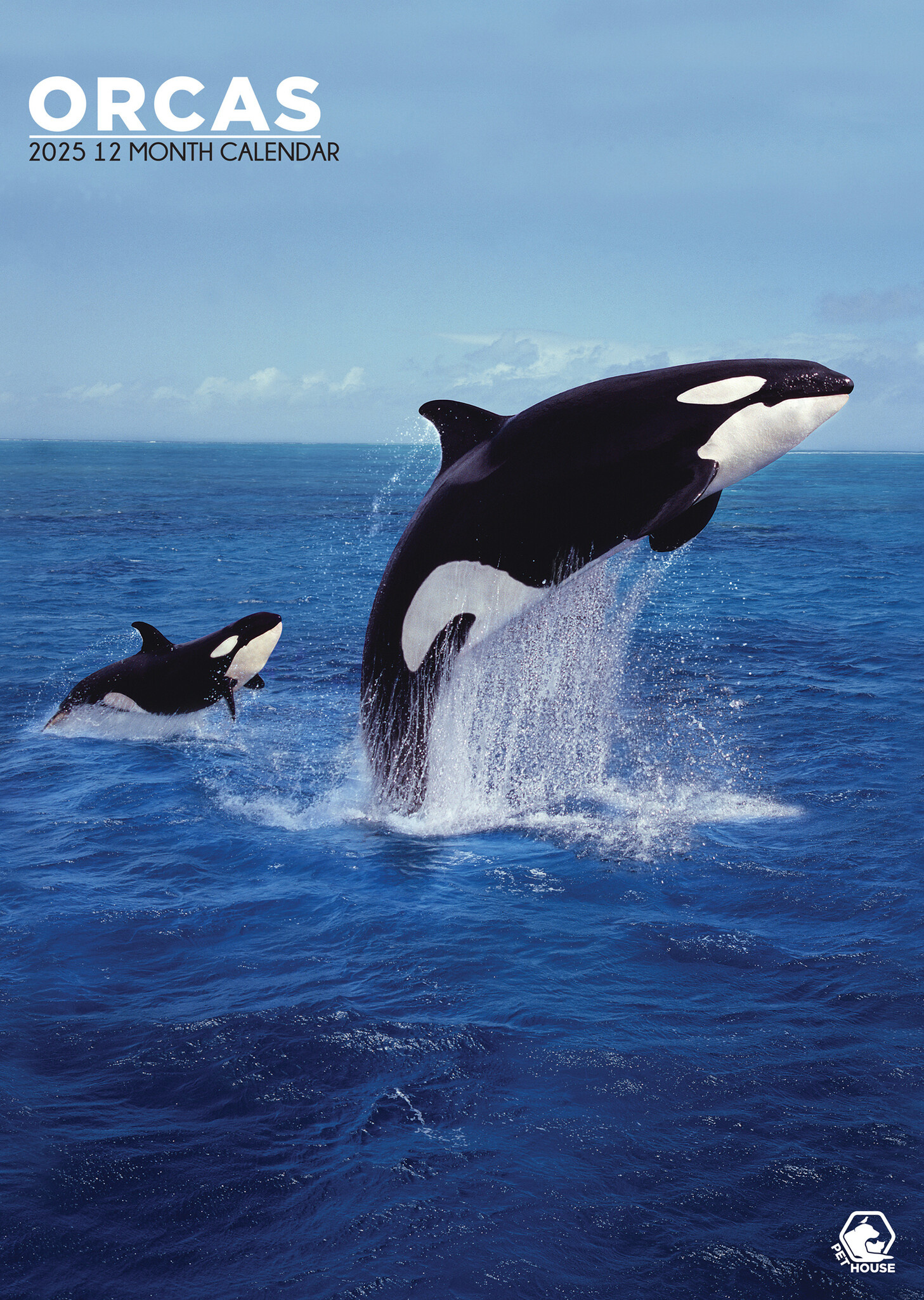 Acheter le calendrier Orcas A3 2025 ? Commande en ligne rapidement et