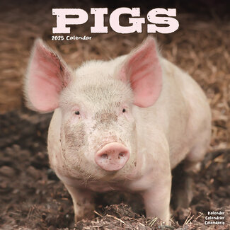 Avonside Pig Calendar 2025
