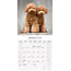 Poodle Calendar 2025