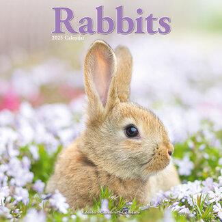 Avonside Rabbits Calendar 2025