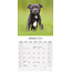 Staffordshire Bull Terrier Kalender 2025