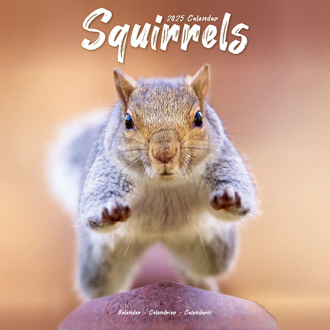 Avonside Squirrel Calendar 2025