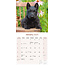 Scottish Terrier Kalender 2025