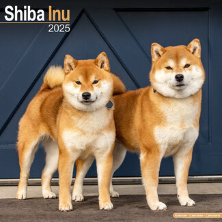 Avonside Calendario Shiba Inu 2025