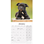 Staffordshire Bull Terrier Cachorros Calendario 2025