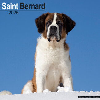 Avonside Saint Bernard Calendar 2025