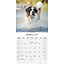 Saint Bernard Calendar 2025