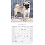 Pug Calendar 2025