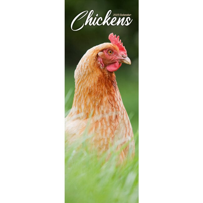 Avonside Chickens Calendar 2025 Slimline