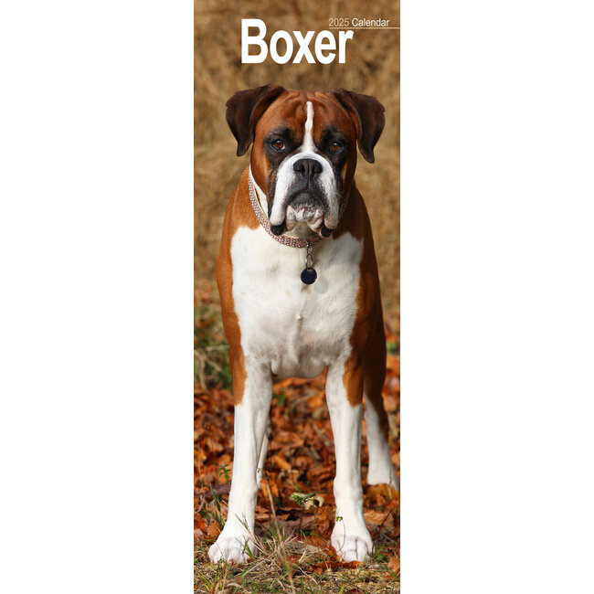Boxer Calendar 2025 Slimline
