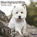 Avonside Calendrier West Highland White Terrier 2025