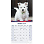 West Highland White Terrier Kalender 2025