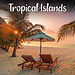 Avonside Tropical Islands Calendar 2025