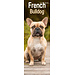 Avonside Franse Bulldog Kalender 2025 Slimline