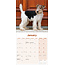 Foxterrier Glatthaar Kalender 2025