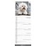 Bichon Frise Kalender 2025 Slimline