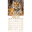 Calendario Tigre 2025