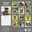 Yorkshire Terrier-Welpen Kalender 2025