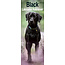 Labrador Retriever Kalender Schwarz 2025 Slimline