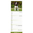 English Springer Spaniel Calendar 2025 Slimline