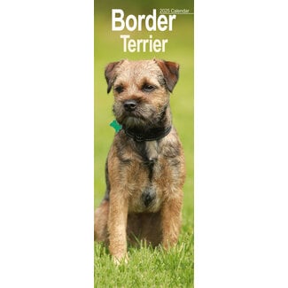 Avonside Calendrier Border Terrier 2025 Slimline
