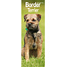 Avonside Border Terrier Kalender 2025 Slimline